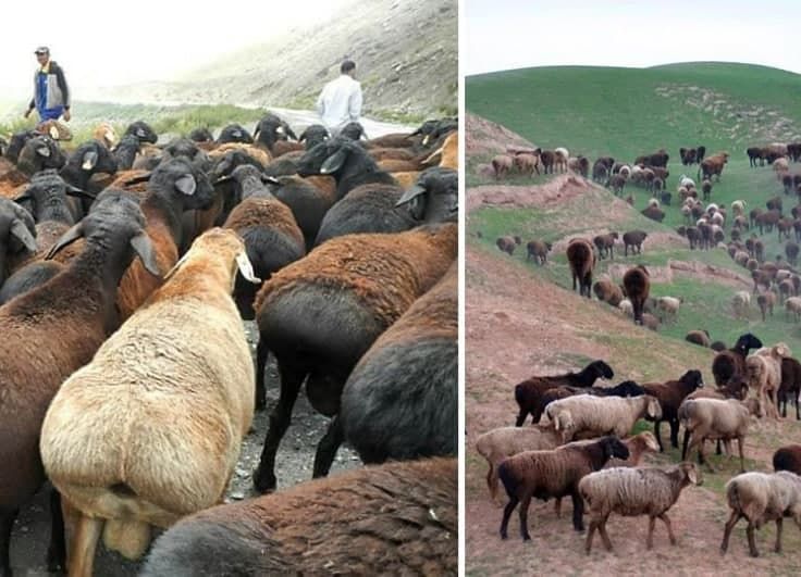Voyaga yetganlar uchun shaxsiy video yubka ostidagi taytlar