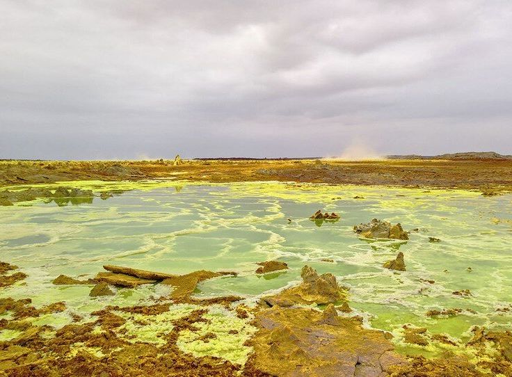 Moskva halqa yolidagi fohishalar joylari