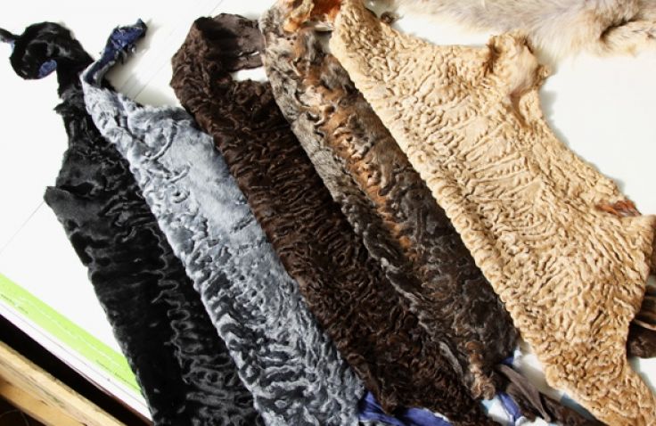 Купить Мех В Перми На Авито Бу