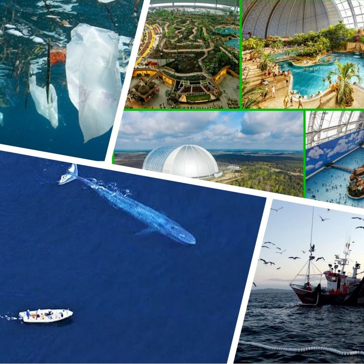 Bi swingers porno videolar Men porno suzish kostyumini kiyib oldim.