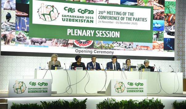 Самарқандда глобал экологик масалалар муҳокамасига киришилди