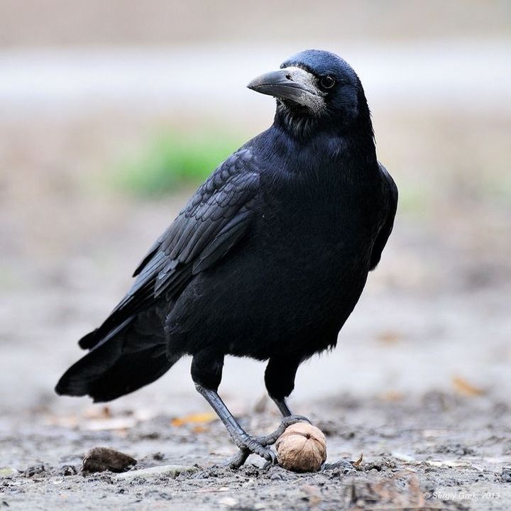 Saratov xususiy porno Avaar Aang jinsiy aloqa