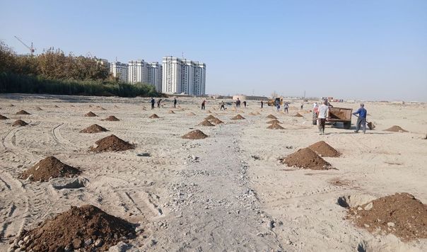 Samarqand shahrida «Yunesko bog‘i» tashkil etiladi