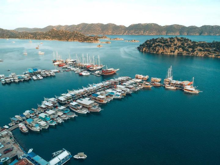 Robot va inson jinsiy aloqa video Jessi Jeyn va porno yulduzlar