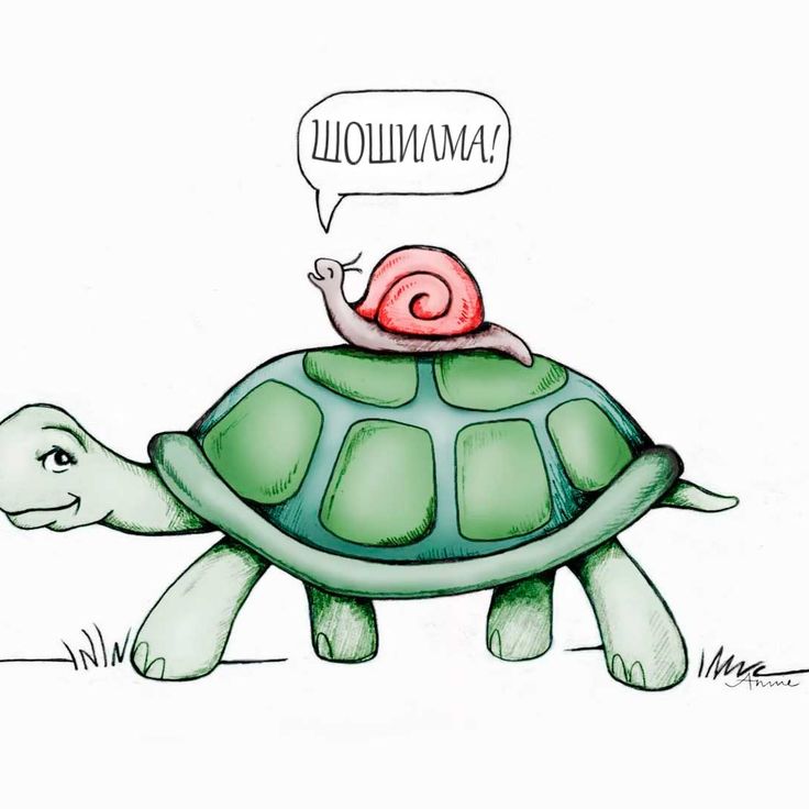 Прикольная черепаха рисунок. Разукрасить черепаху. Baby time черепаха. Космонавт и черепахой прикол.