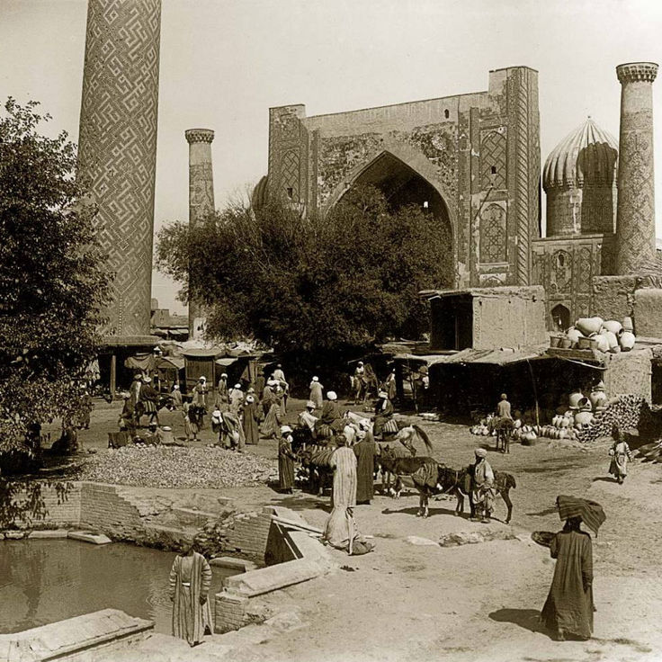 Cum ichida mushuk kompilyatsiya