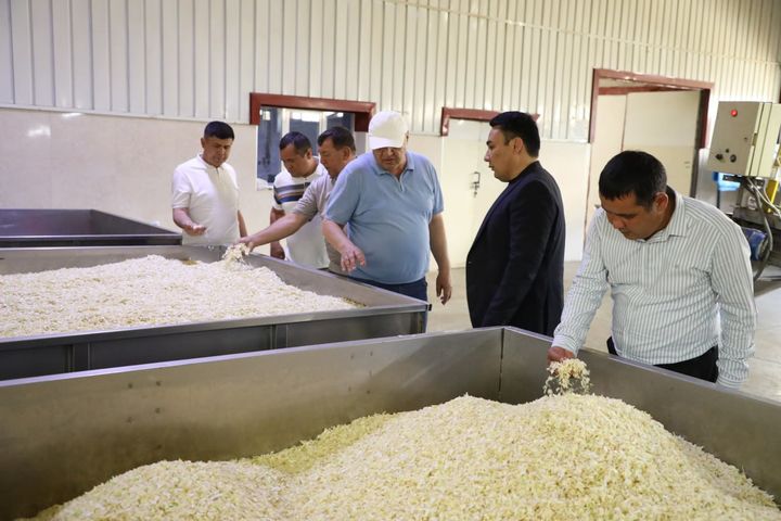 Rohibalar bilan jinsiy aloqa toplami Yigit dugonasini uxlab yotgan sikini soribdi.