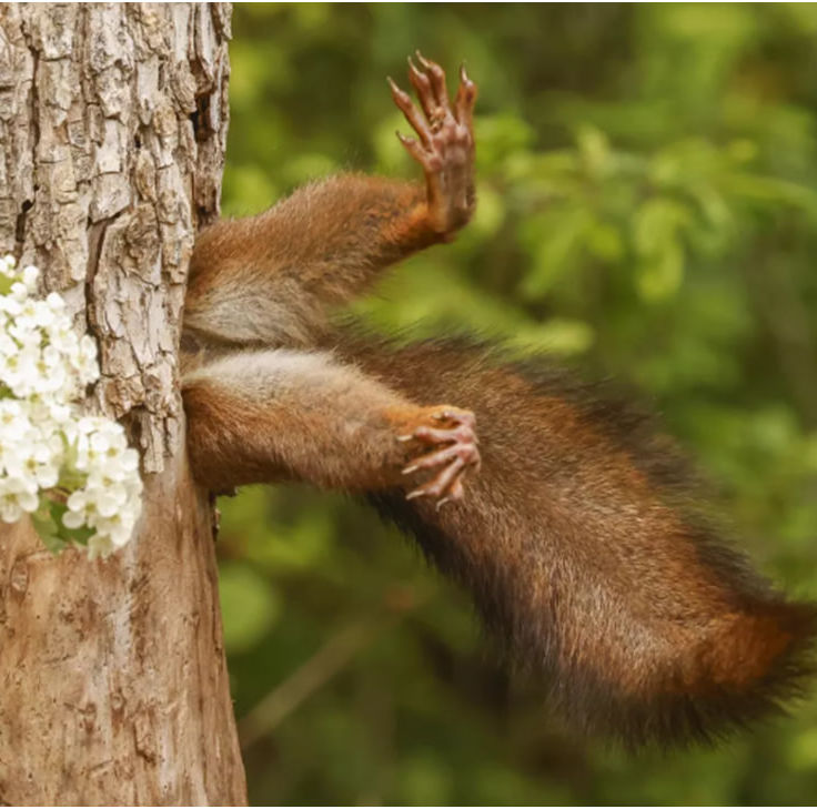 Mehmonxona xonalari jinsiy aloqa