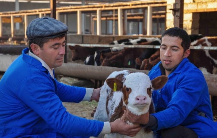 Ikki qiz dosti kochada bir yigitni sorishadi