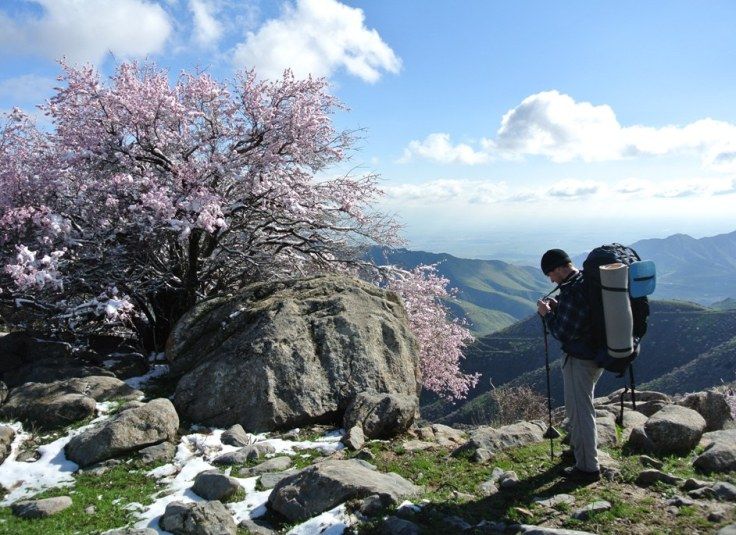 Ular meni barcha teshiklarda xohlashadi