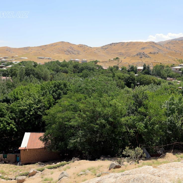 Gretsiya filmidan porno jinsiy aloqa Jinsiy aloqa paytida hiki