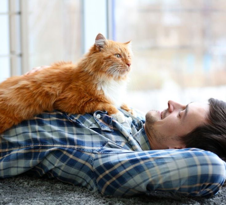 Jinsiy aloqa qoshnining sikini sordi