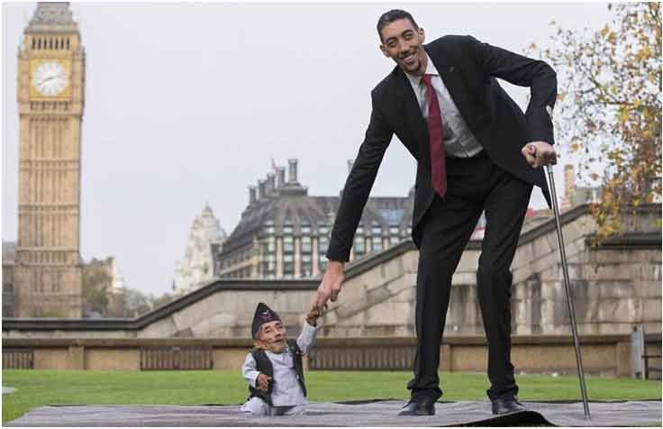 Oshxonadagi semiz odamlar