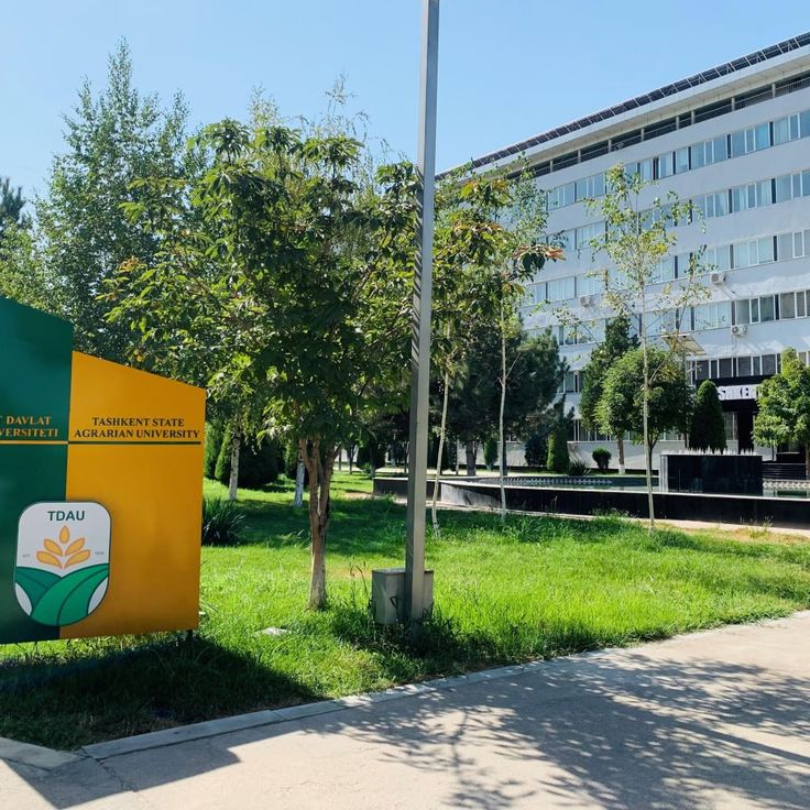 Telefoningiz uchun silikon kokrak porno rasmlar Alana Raye