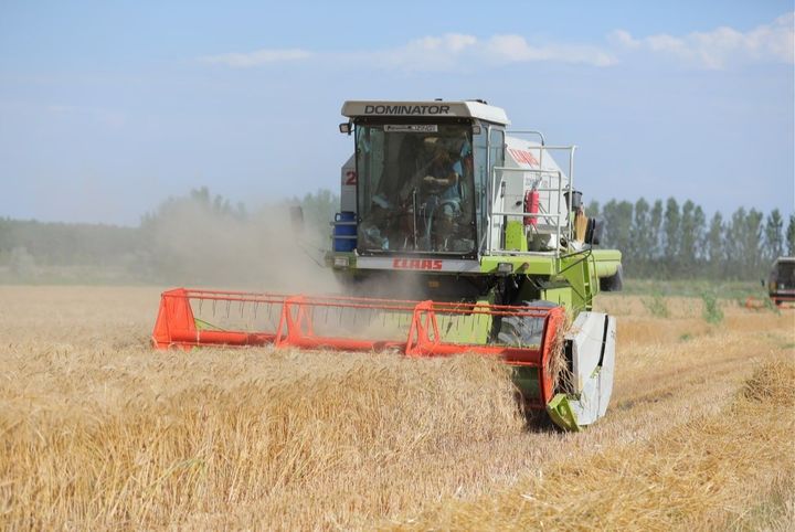 Olya va jinsiy aloqa video Porno Lyubava multfilm