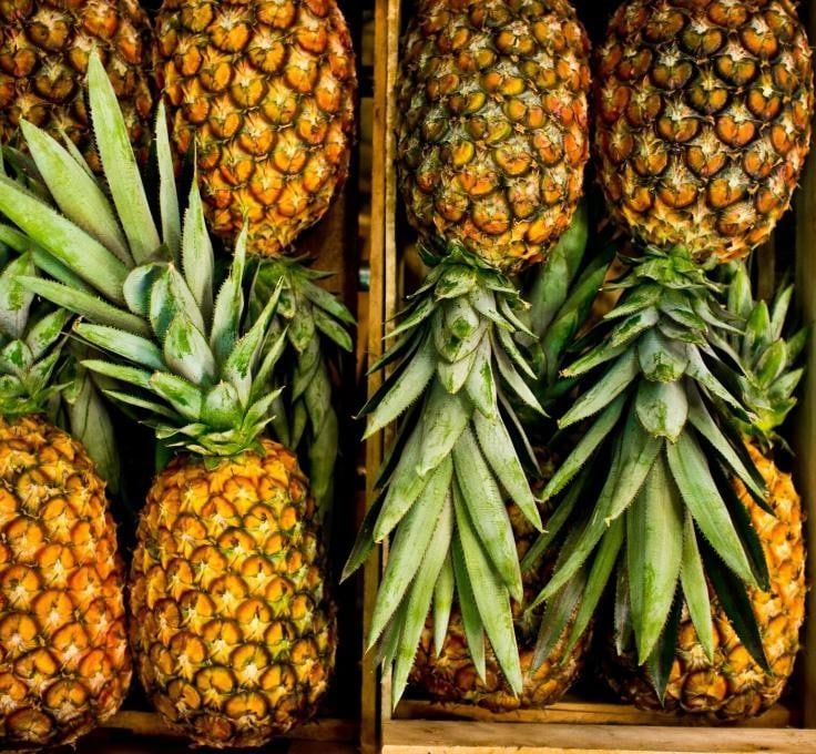 Oq choyshabdagi super eshakni qoniqtirdi