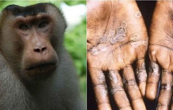 Seksual sargish Alla Gola