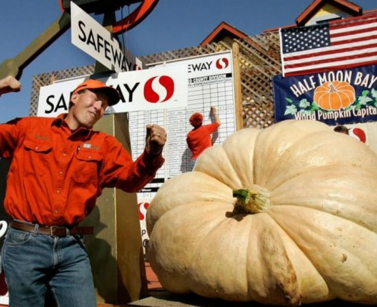 Tabiatda erini aldash jinsiy aloqa video