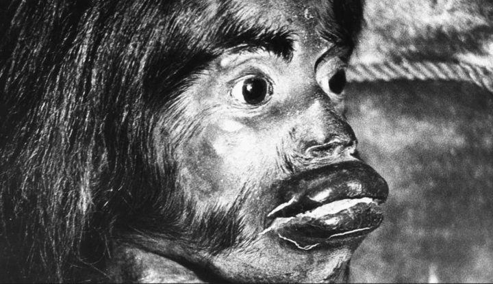 Dik soruvchi yulduzlarning fotosuratlari Christy sexy