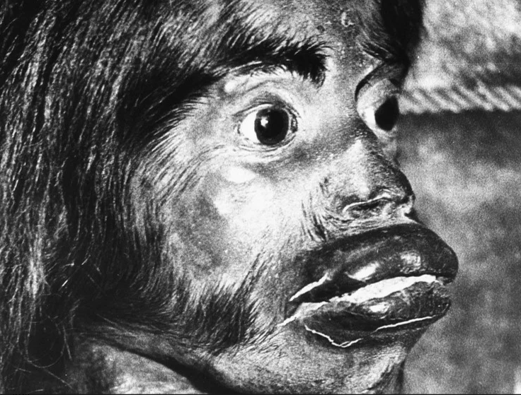 Dostimning onasi Super Porn Onlayn Pussy Licker