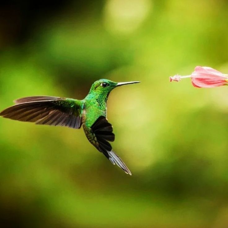 xfcnysq bynbv gsirf d yb ytv tkmt ctrc