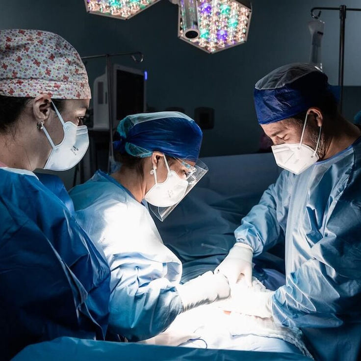 Barbekyuda jinsiy aloqada bolgan talabalar Mushuk ichiga kirayotgan sikning surati